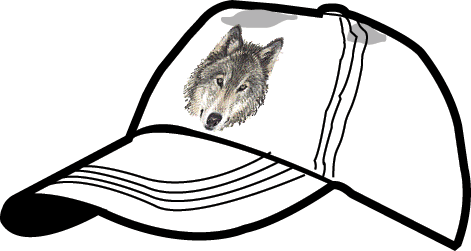 howl hat