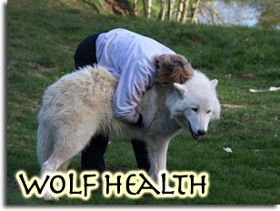 Wolf Health