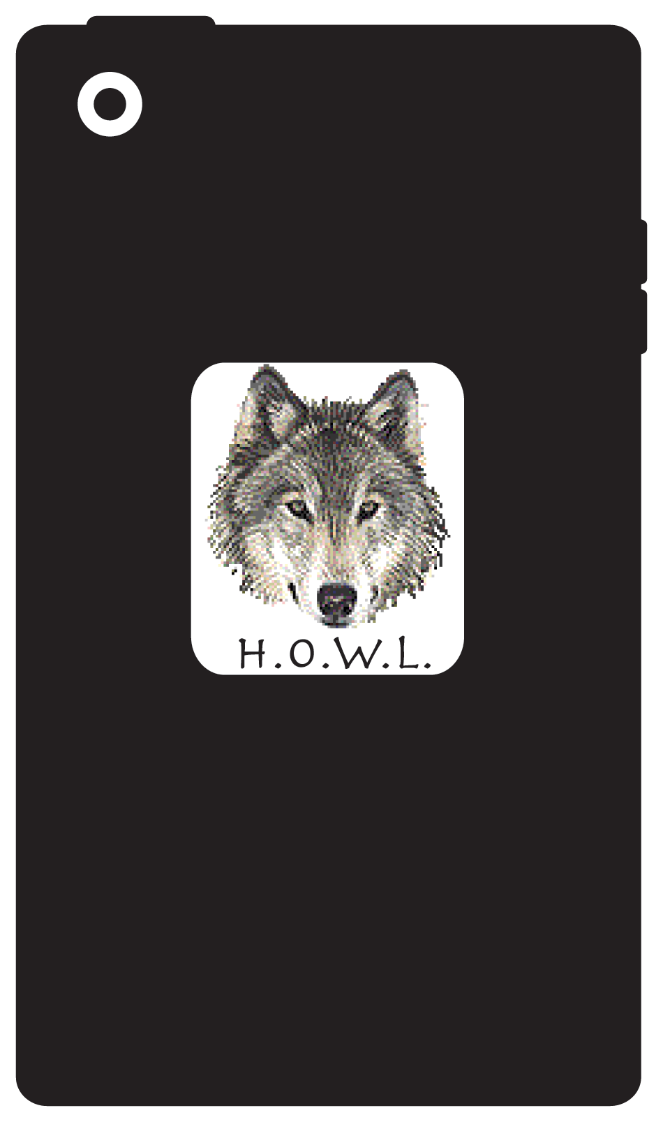 howl ipod case