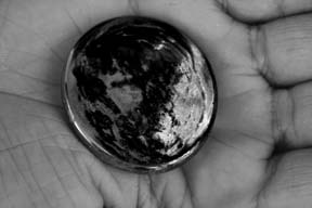 World in Hand