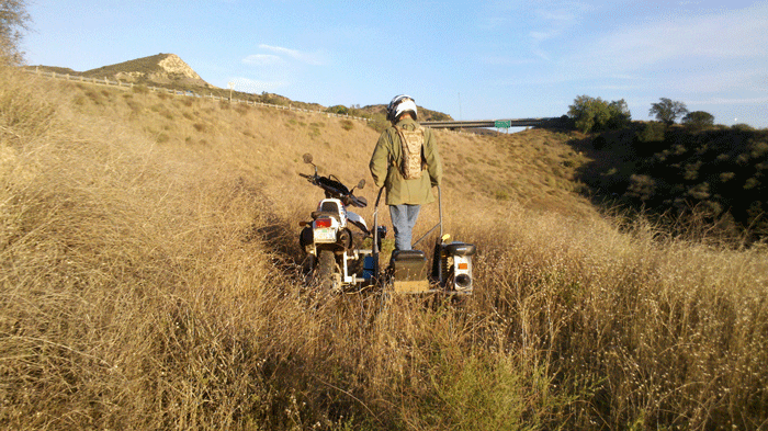 sidehack in the brush